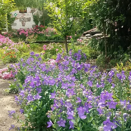 מלון דירות Za Murem 3*