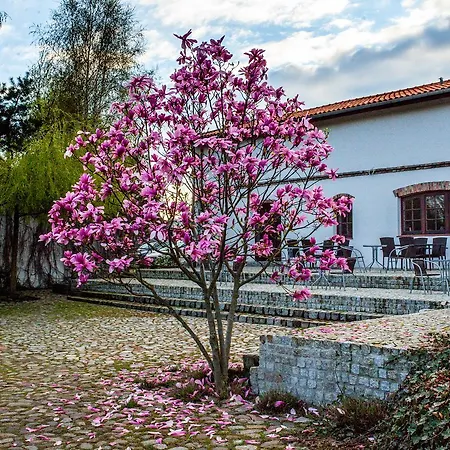 Za Murem Hotel apartamentowy 3*
