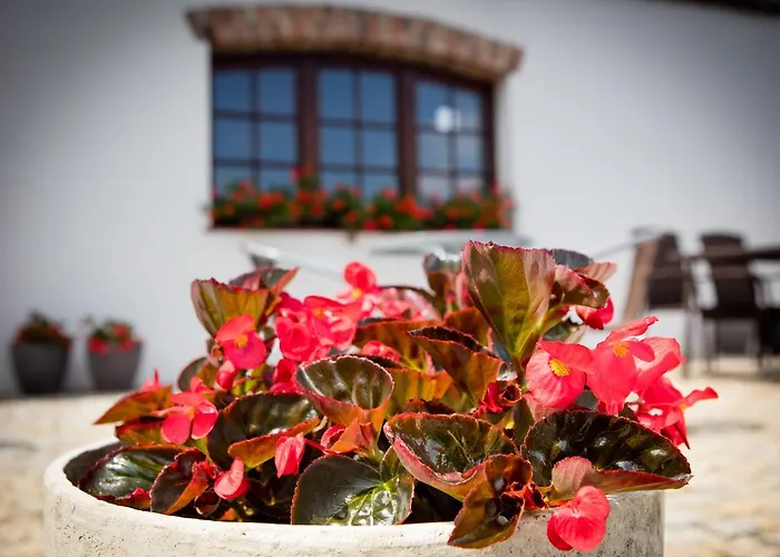 Za Murem شقة فندقية بوزنان